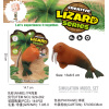 walruse