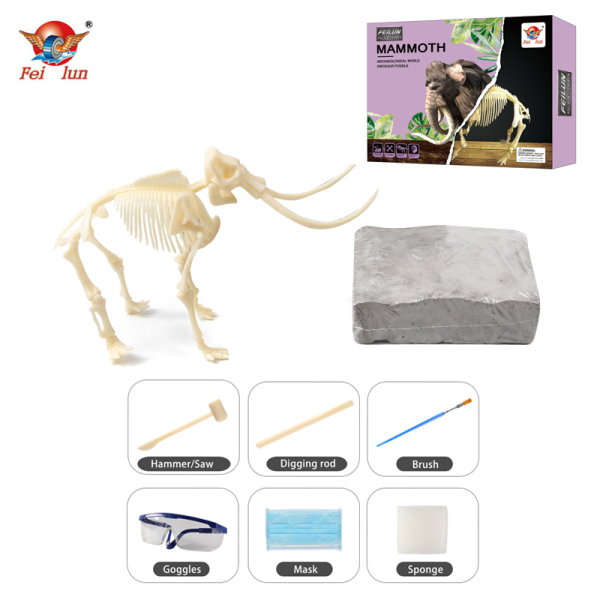 恐龙化石收藏-考古挖掘猛犸象 石膏