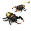 甲虫 遥控 灯光 包电 塑料