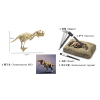 考古恐龙套装-公猛犸象  石膏
