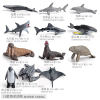 6款式海洋动物 塑料