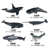 6pcs迷你海洋动物 塑料