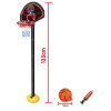 篮球架带10cm球,打气筒 4寸 塑料