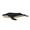 软胶海洋动物-座头鲸 搪胶