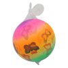 斑点狗彩虹球 9寸 塑料