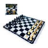 国际象棋 象棋 塑料