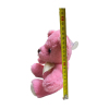 12PCS 16cm 玫瑰熊 混色 布绒