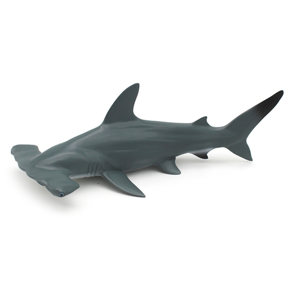 锤头鲨 塑料