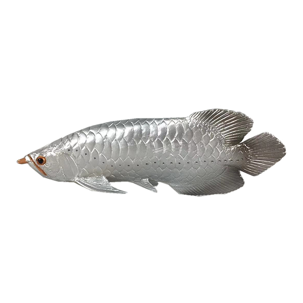银龙鱼（银色）  塑料