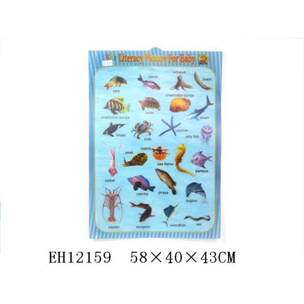 幼儿识海洋生物挂图(50pcs/bag) 挂历 纸质