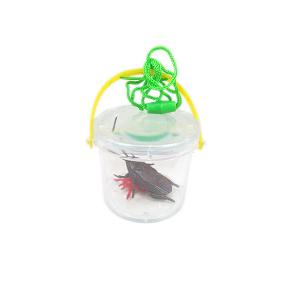 2只昆虫带昆虫观察桶 塑料