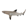 鲨鱼  塑料