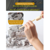化石收藏-考古挖掘蜘蛛 石膏