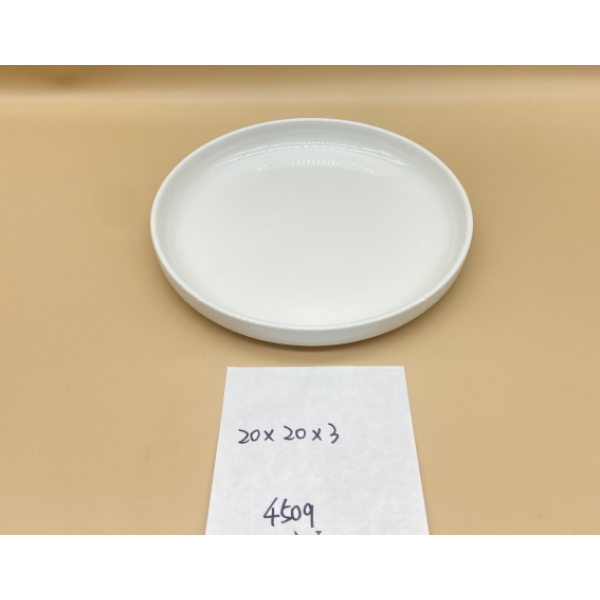 白色瓷器餐盘
【20*20*3CM】 单色清装 陶瓷