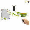 螳螂 遥控 灯光 包电 塑料