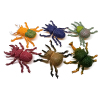 6只庄锹甲虫pvc昆虫套装  塑料