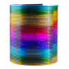 10CM竖纹烫金彩虹圈 圆形 5-10CM 塑料