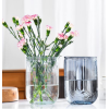 U型透明竖纹玻璃花瓶【18CM】 单色清装 玻璃