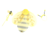 蜜蜂翅膀+天使棒+发夹 布绒