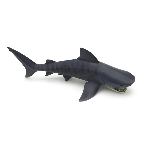 虎鲨 塑料