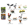 6款式家禽动物 塑料
