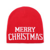 圣诞针织帽 中性 56-58CM 冬帽 100%腈纶