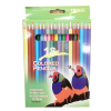 12色彩色铅笔 单色清装 木质