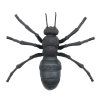 仿真昆虫蚂蚁摆件 塑料