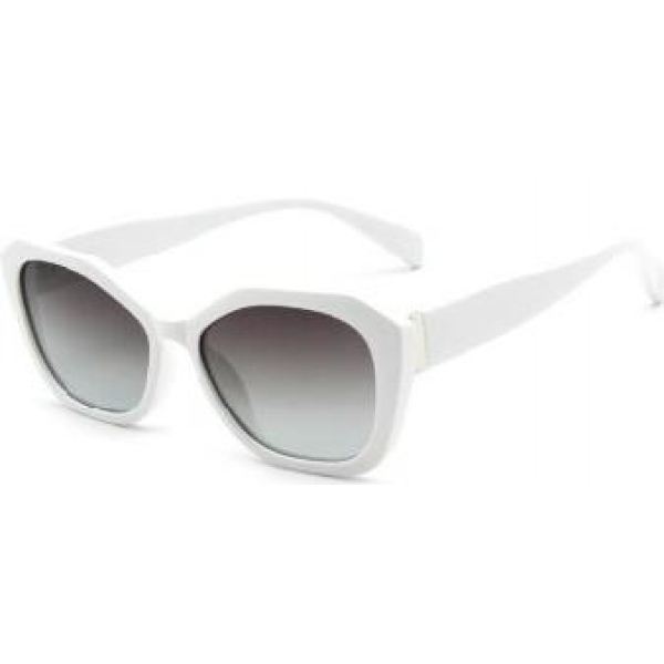 pc框太阳眼镜 单色清装 塑料