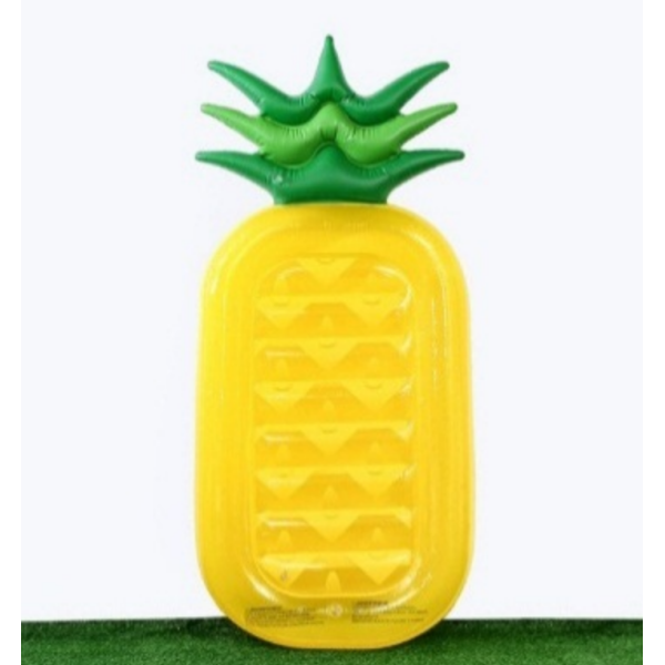 菠萝浮排 塑料
