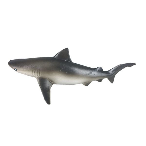鲨鱼  塑料