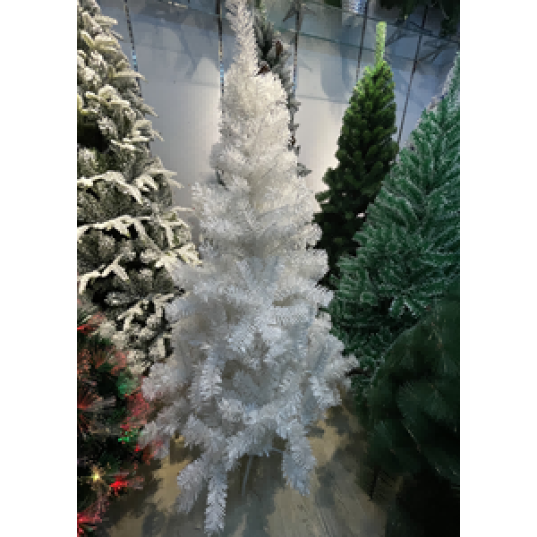 1.5米白色普通树500头