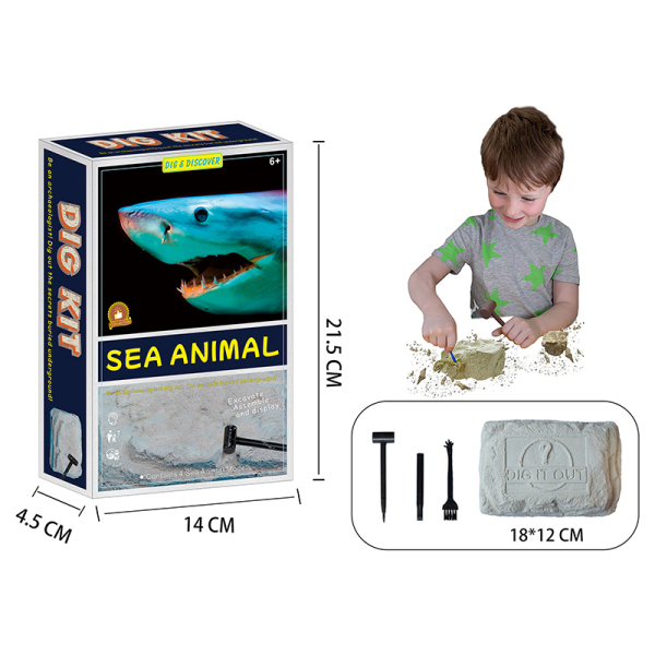 考古大化石海洋动物套装 塑料