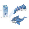 3D动物立体拼图   海豚 动物 纸质