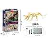 考古大化石拼装恐龙套装（霸王龙） 塑料