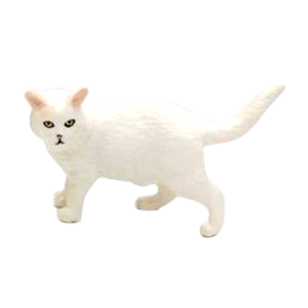 沙特白猫  塑料