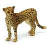 非洲猎豹 塑料
