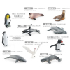南极动物套装 塑料