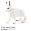 北极兔 塑料