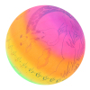 9寸充气长颈鹿彩虹球 塑料
