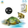 乌龟(用遥控器充电) 遥控 2通 主体包电，遥控器不包电 灯光 塑料