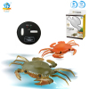 螃蟹(用遥控器充电) 遥控 2通 主体包电，遥控器不包电 灯光 塑料