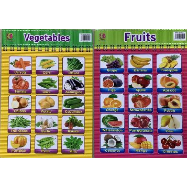 正反面 蔬菜和水果 学习书 单色清装 纸质