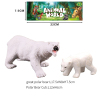 大小北极熊 塑料
