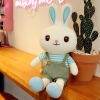 兔子毛绒玩具【70CM】 单色清装 布绒