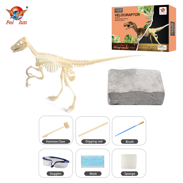 恐龙化石收藏-考古挖掘迅猛龙 石膏