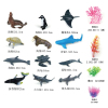 22pcs海洋动物套装 塑料