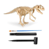 考古恐龙化石系列-恐龙 石膏