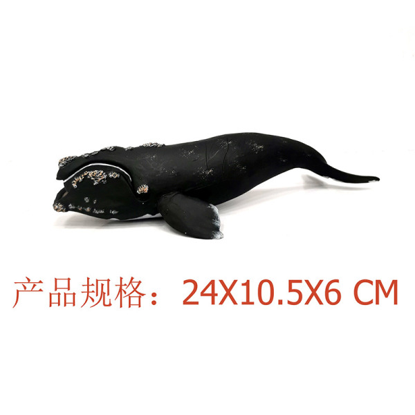 露脊鲸 塑料