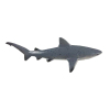 白鳍鲨 塑料